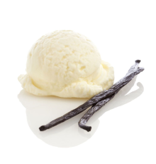 Vanilla Bean Ice Cream [CAP]