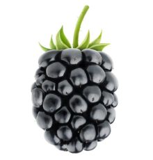 Blackberry [CAP]