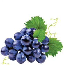 Concord Grape w/Stevia [CAP]