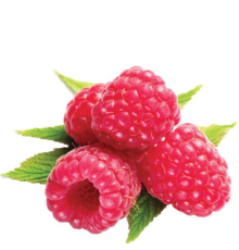 Raspberry V2 [CAP]
