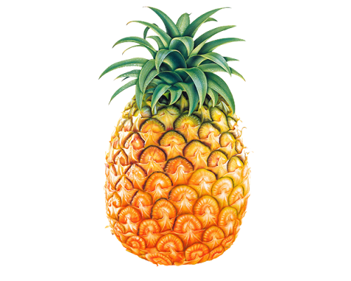 Inawera "Pineapple"
