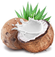 Fresh Coconut [PUR]
