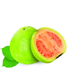 Guava TPA
