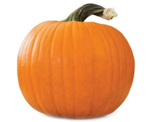 TPA "Pumpkin"